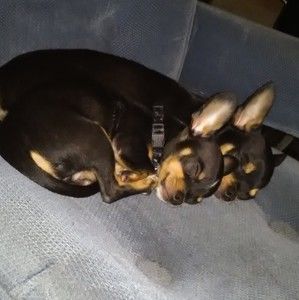 Meet your Posher, Catherine